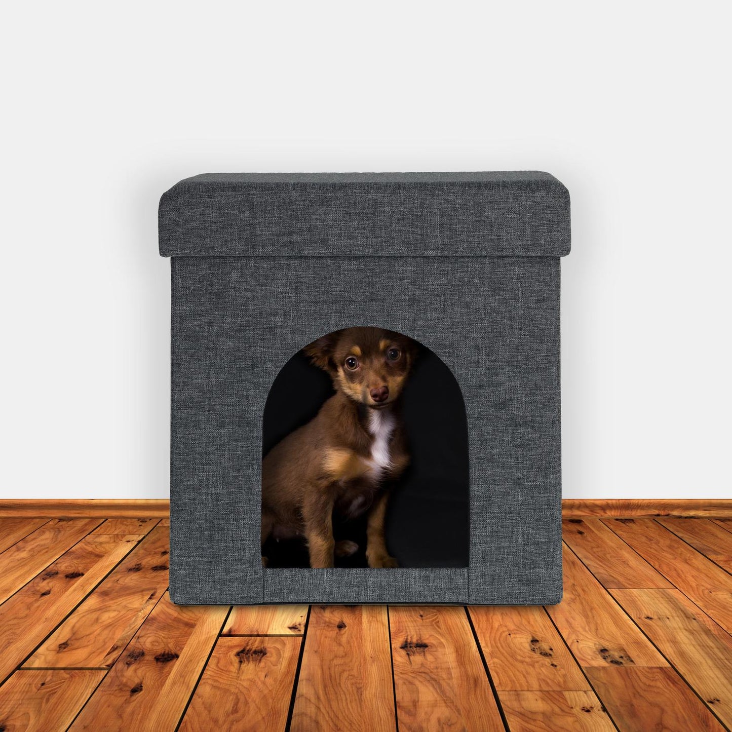 Collapsible cat hole