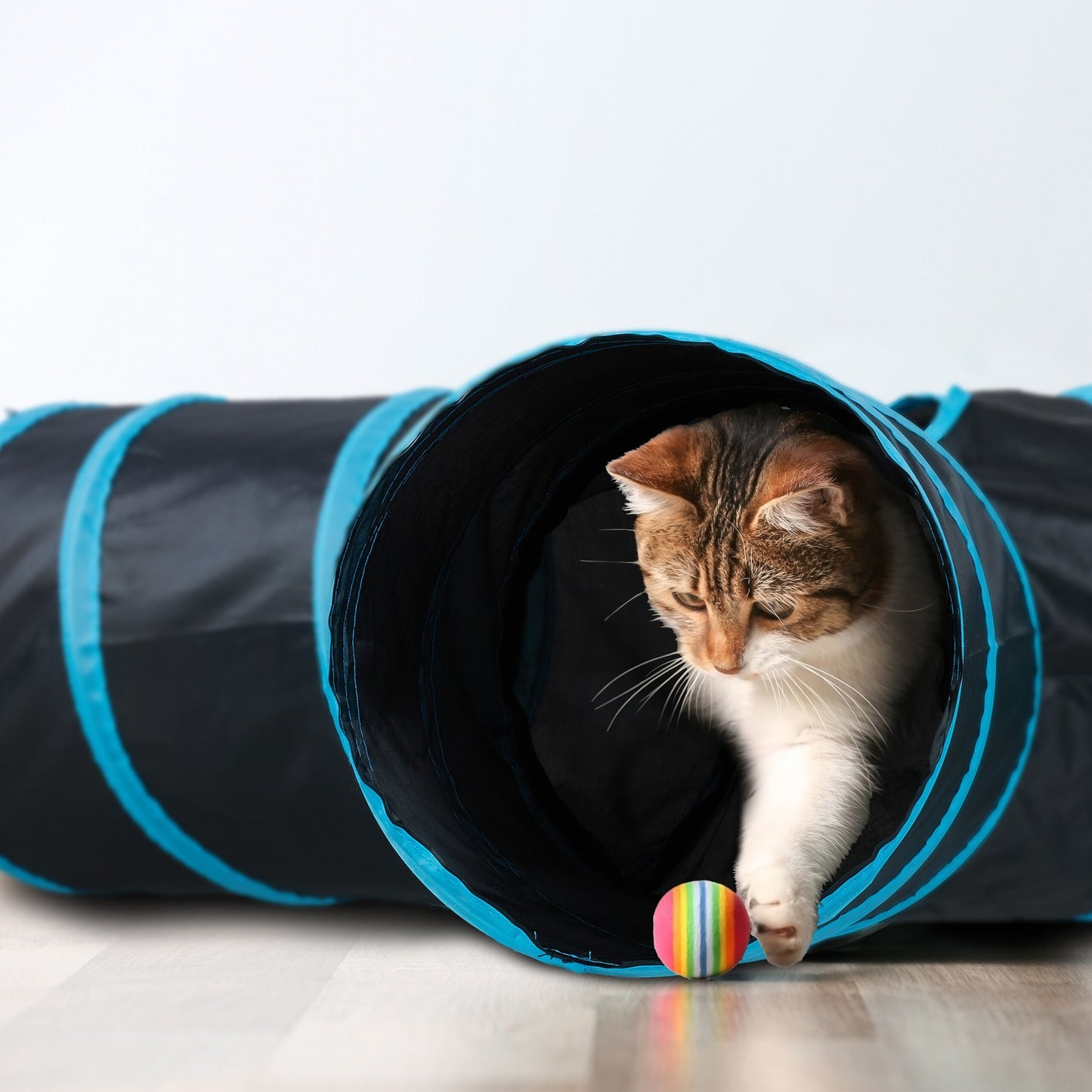 Collapsible cat tunnel 4 ways