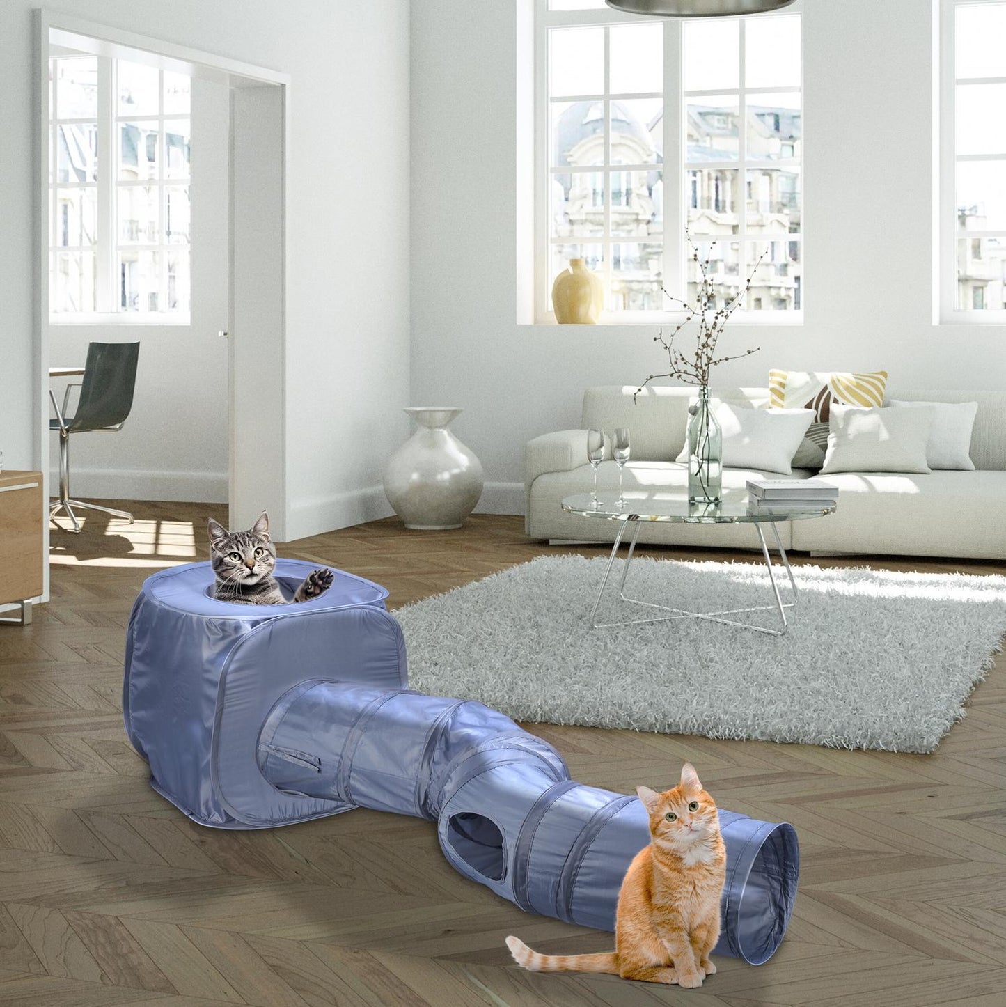 Collapsible cat tunnel with cat cave