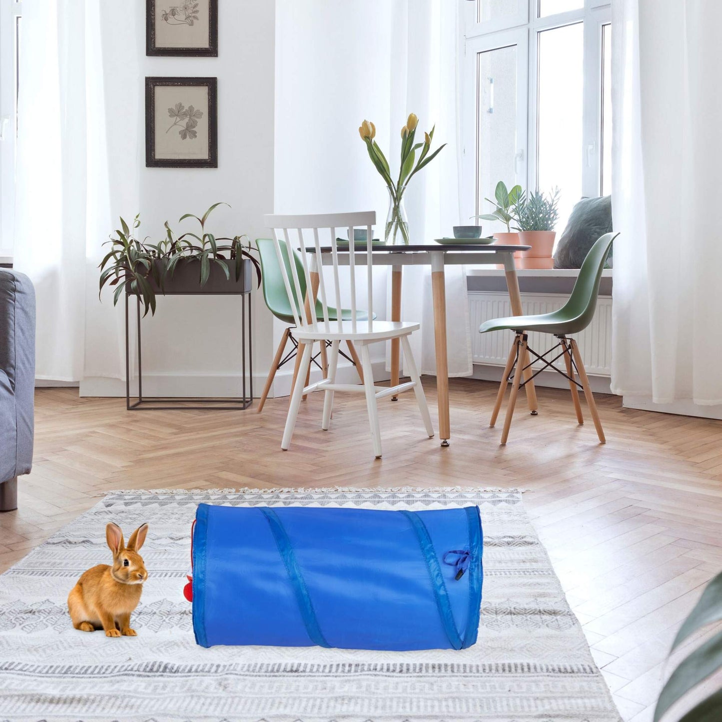 Collapsible cat tunnel with toys