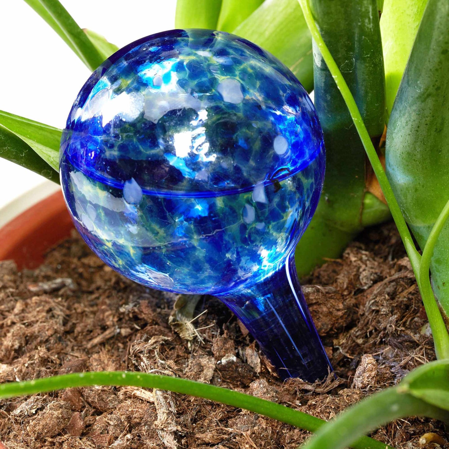 Colorful water balls glass set of 4