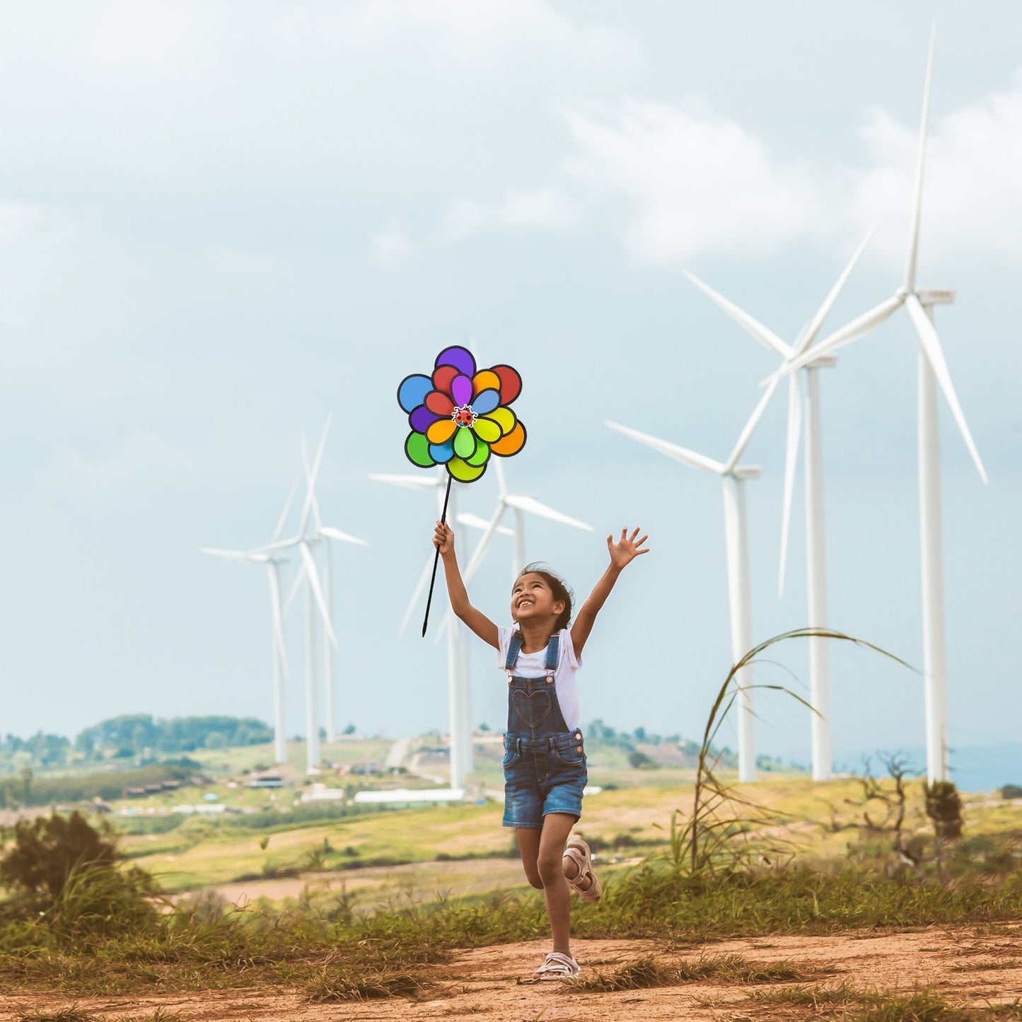 Colourful flower wind spinner