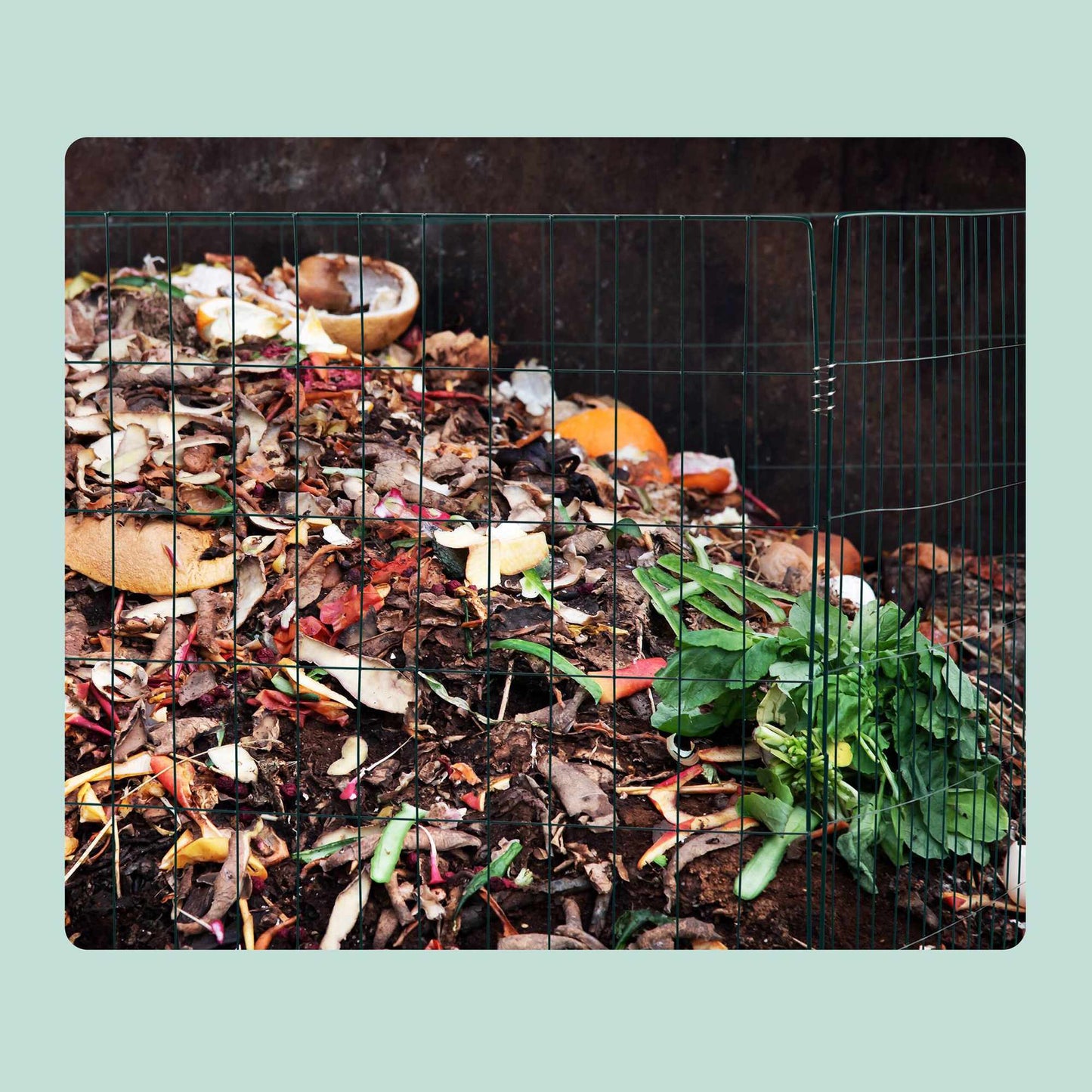 Compost grid in metal, 3-pack