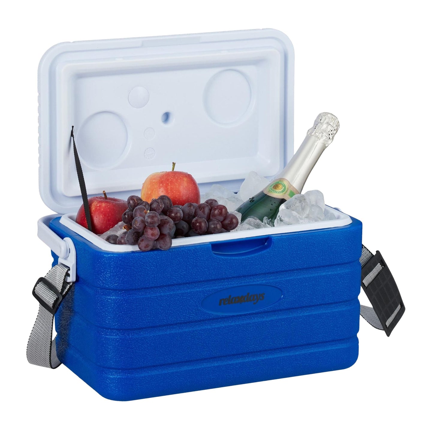 Cool box 10 l with carrying strap