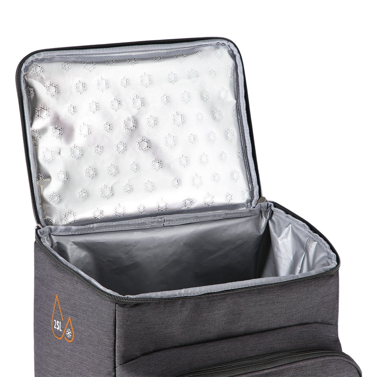Cooler Backpack, Black, 25L, Insulated