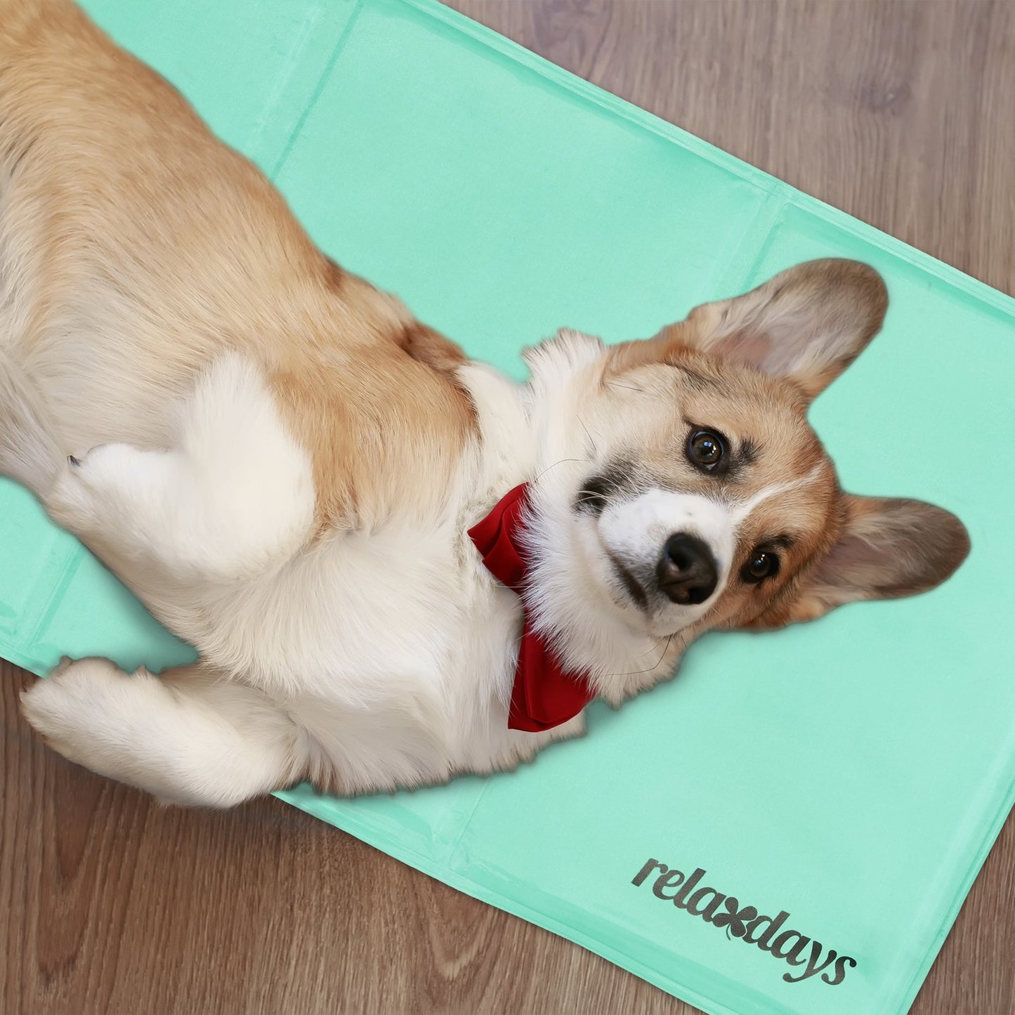 Cooling mat for dogs