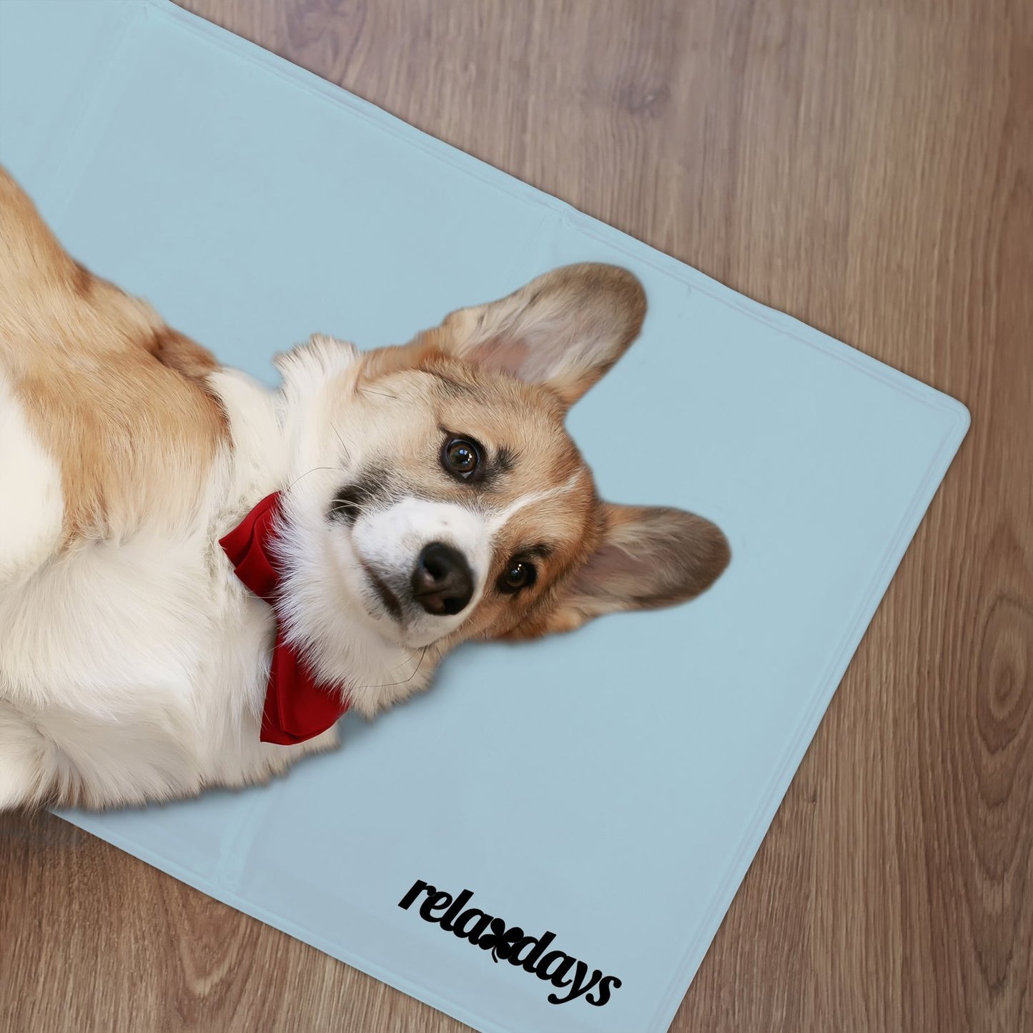 Cooling mat for dogs