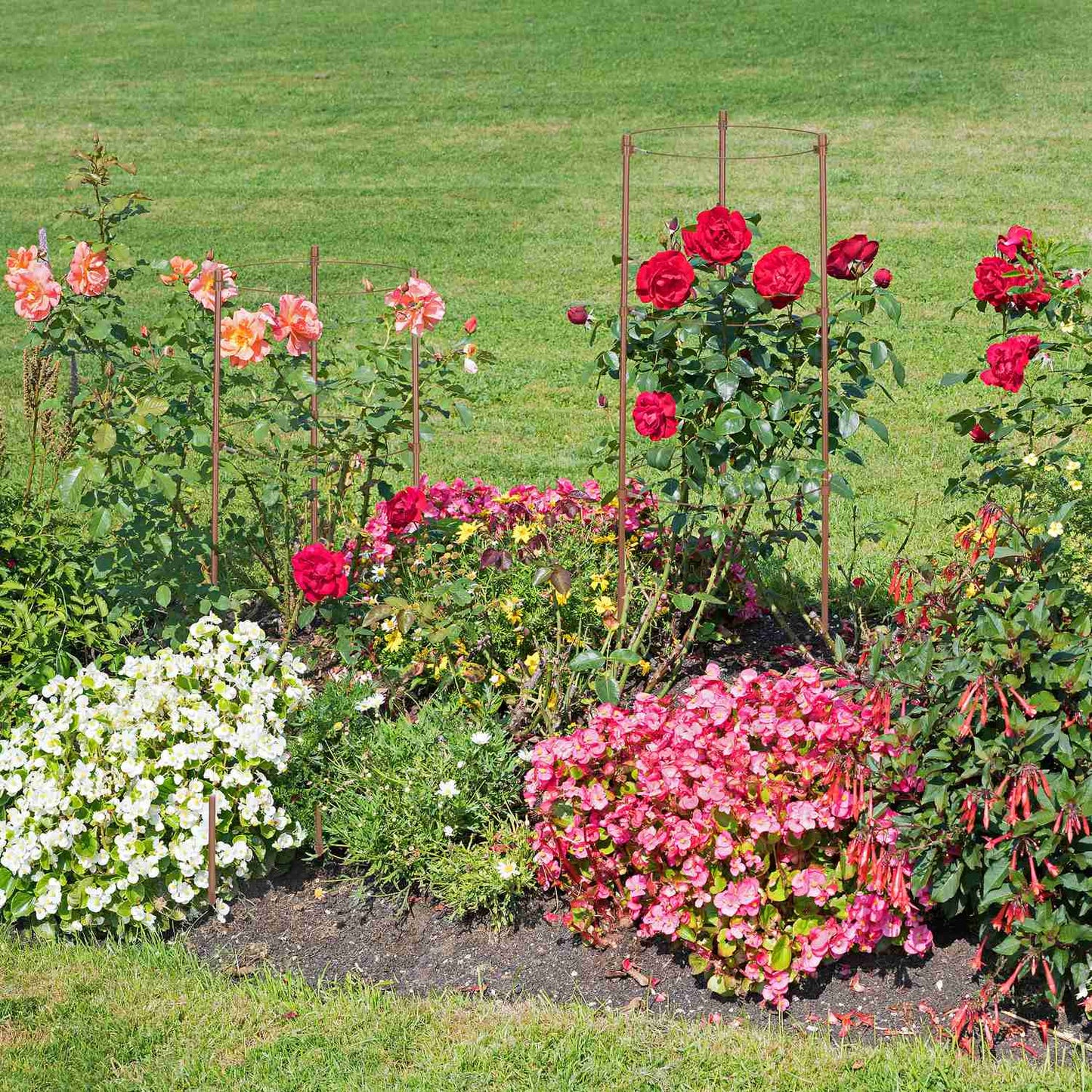 Creeper 60 cm Set of 4