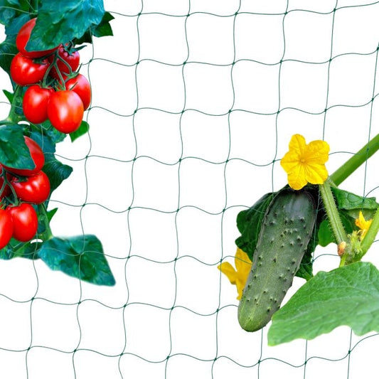 <p>Enhance your garden's productivity with our durable creeper net, designed to support cucumbers, tomatoes, and climbing plants. This net ensures robust growth and abundant harvests for your garden.</p>

<ul>
<li>Boost plant growth with reliable support.