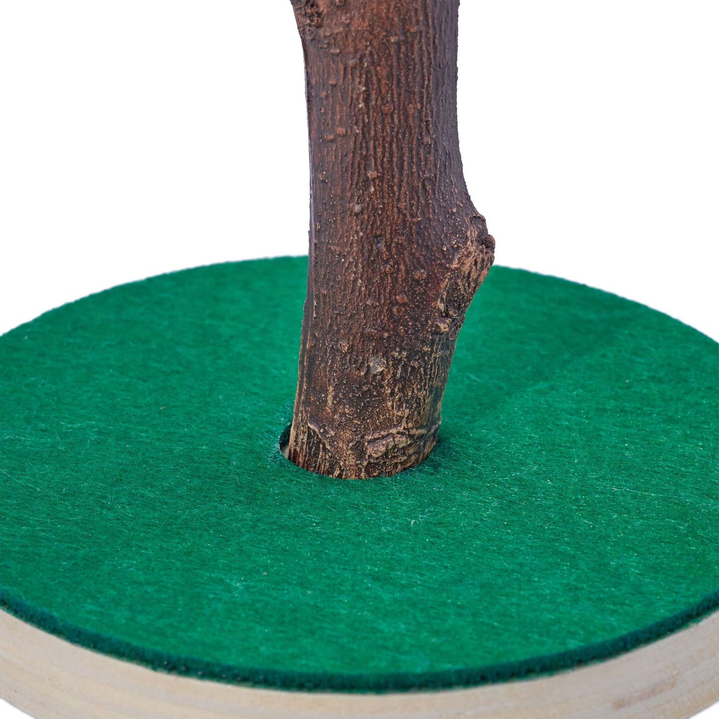 Crown cork tree