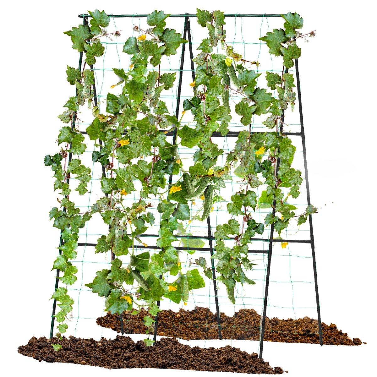 Cucumber trellis set A-shaped adjustable width trellis with net 88 x 124 x 30-60 cm black