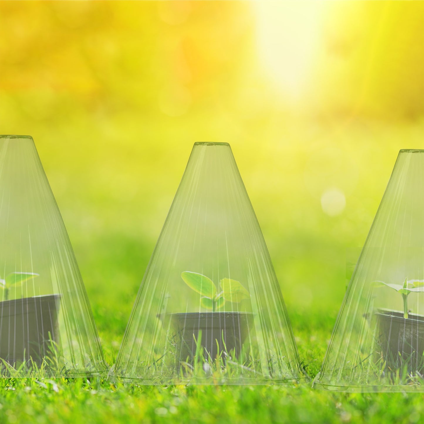 <p>Plant protection grow cups shield your plants from frost and pests, ensuring a healthier start to the season. These mini-greenhouses create a warmer microclimate, promoting faster growth and earlier harvests.</p>

<ul>
<li>Protects plants from frost, h