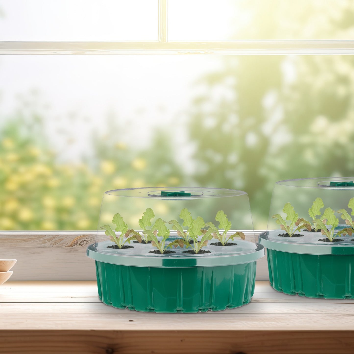 Cultivation greenhouse 13 compartments set of 2