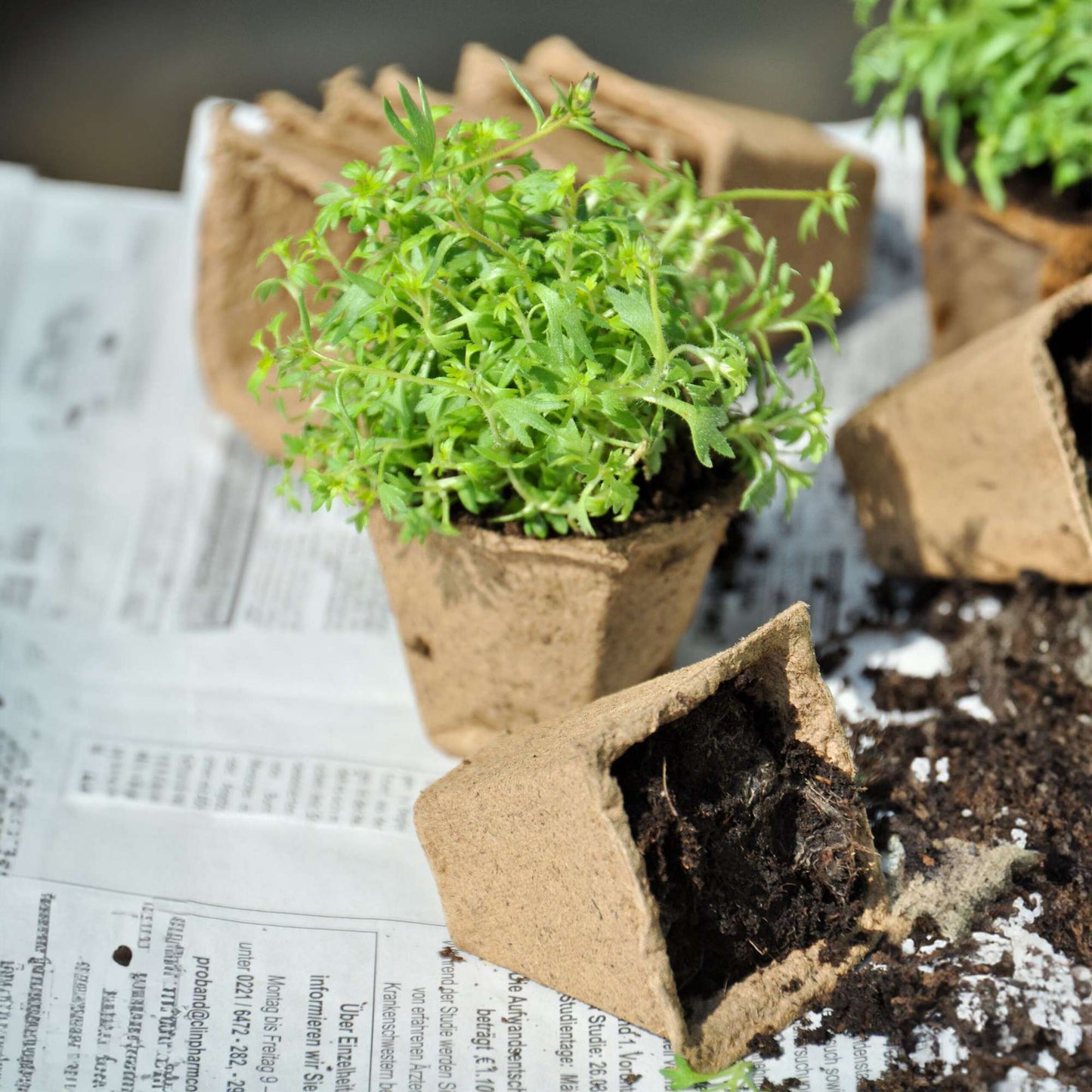 Cultivation pots 192 sets with accessories