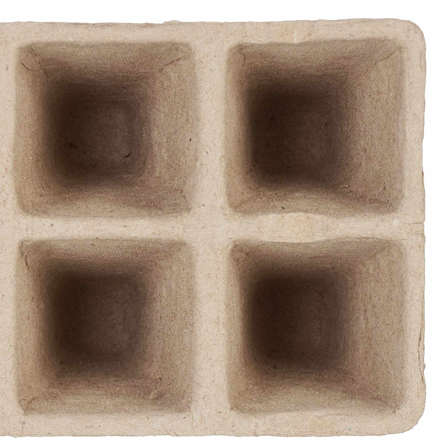 Cultivation pots, 200 pcs, with label