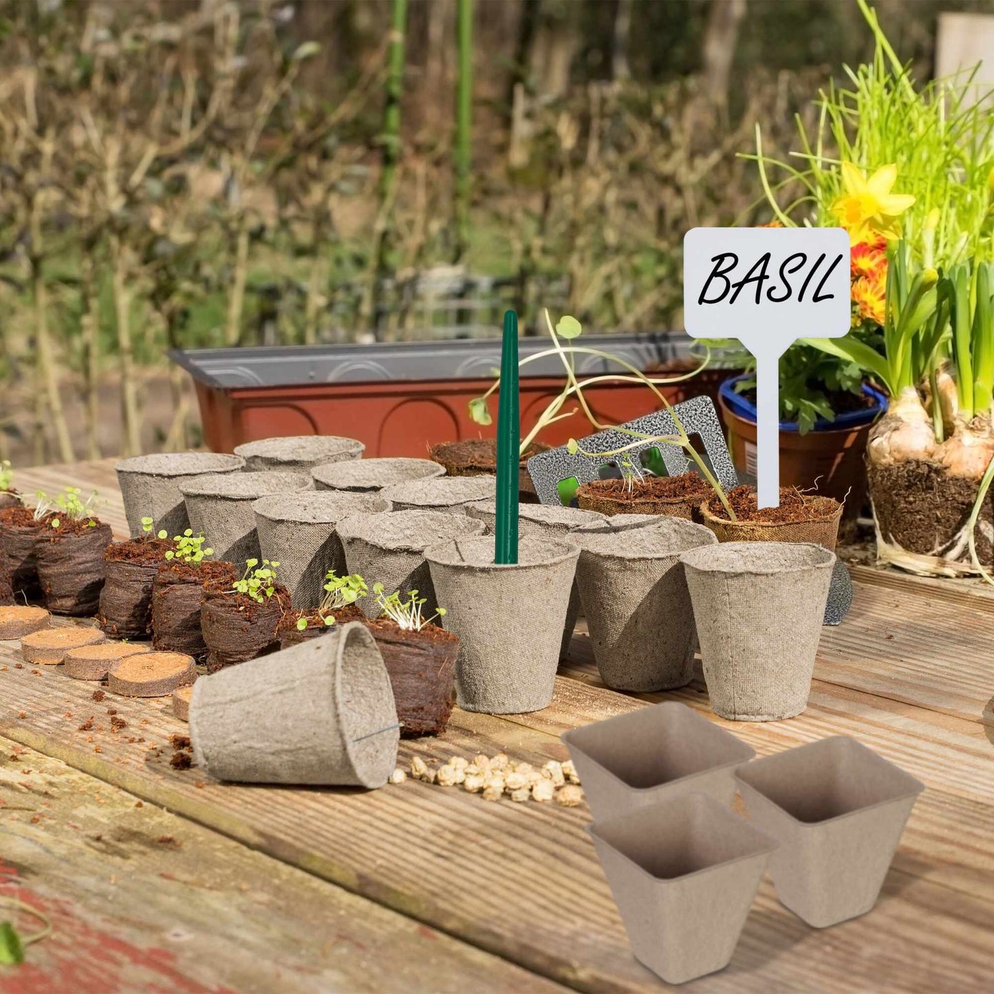 Cultivation pot, set of 96 with accessories