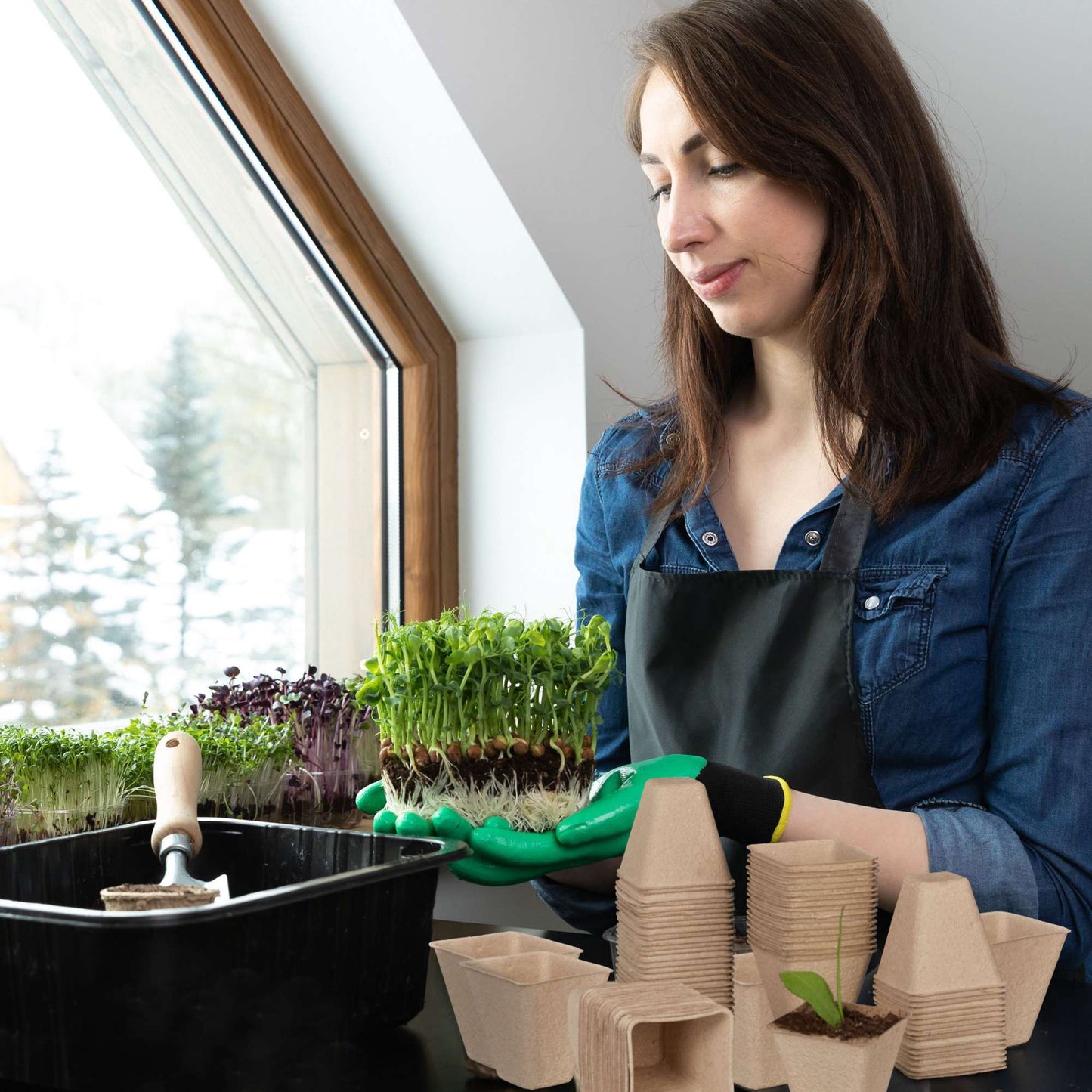 Cultivation pots set for 80 cuttings