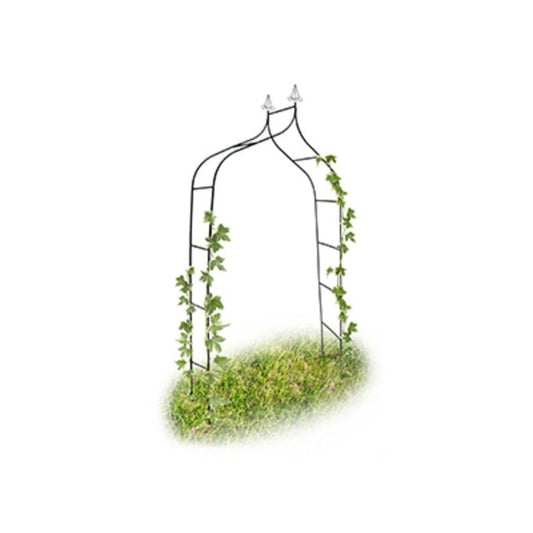 Curved Metal Rose Arch with Pointed Top