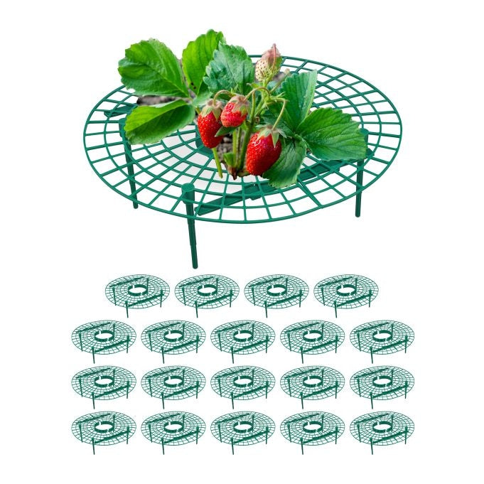 Cutter for strawberries, 20 pcs
