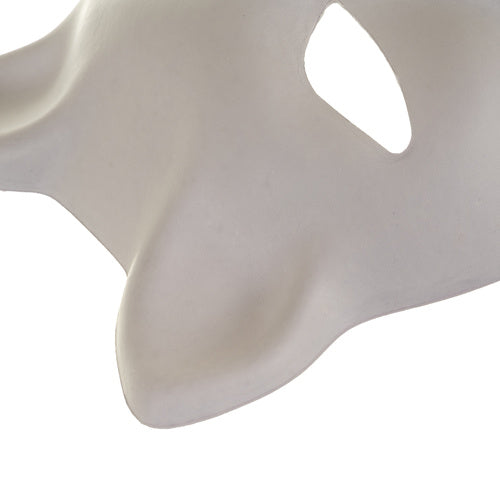 DIY Cat Masks, 10 Pcs Set for Painting & Crafts