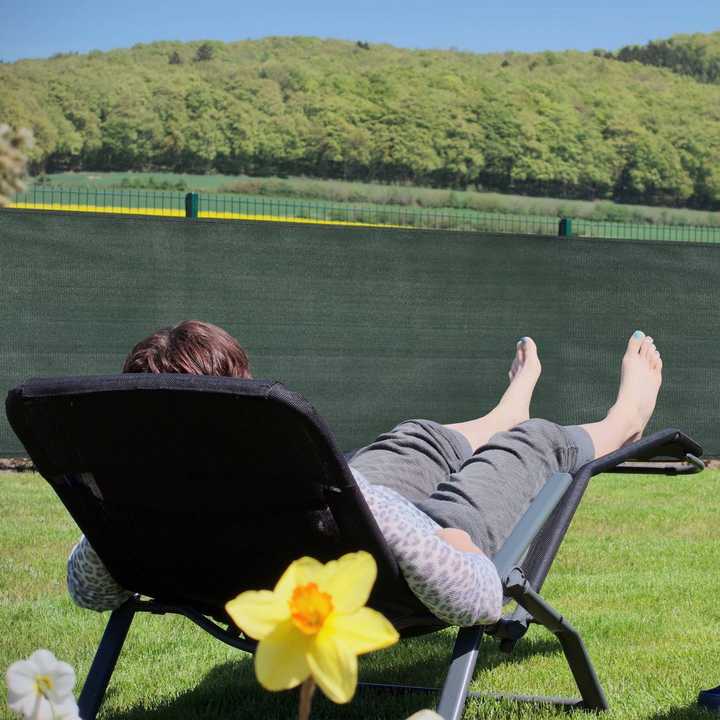 Dark green garden screen 2 meters high