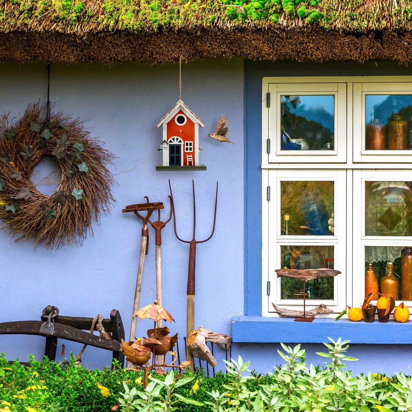 <p>This weatherproof birdhouse offers a cozy refuge for small birds while enhancing your garden's charm. Crafted from durable poplar and pine, it blends seamlessly into any outdoor setting.</p>

<ul>
<li>Enhance your garden with detailed country style des