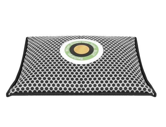 Dehumidifier - moisture absorber for the car