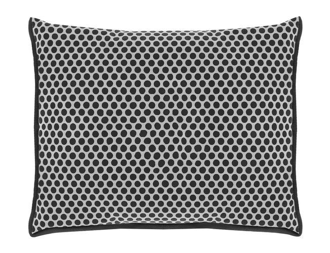 Dehumidifier - moisture absorber for the car