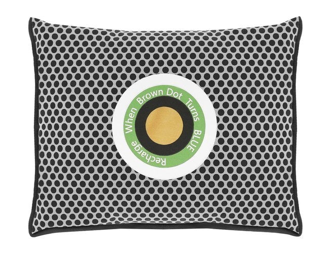 Dehumidifier - moisture absorber for the car
