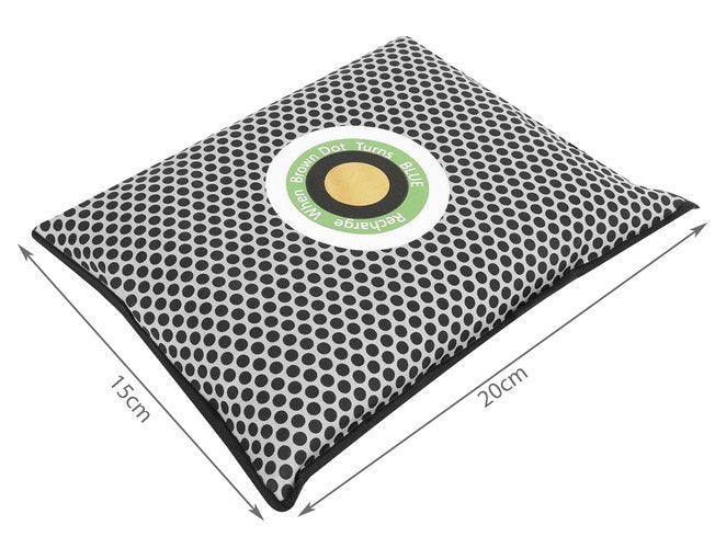 Dehumidifier - moisture absorber for the car