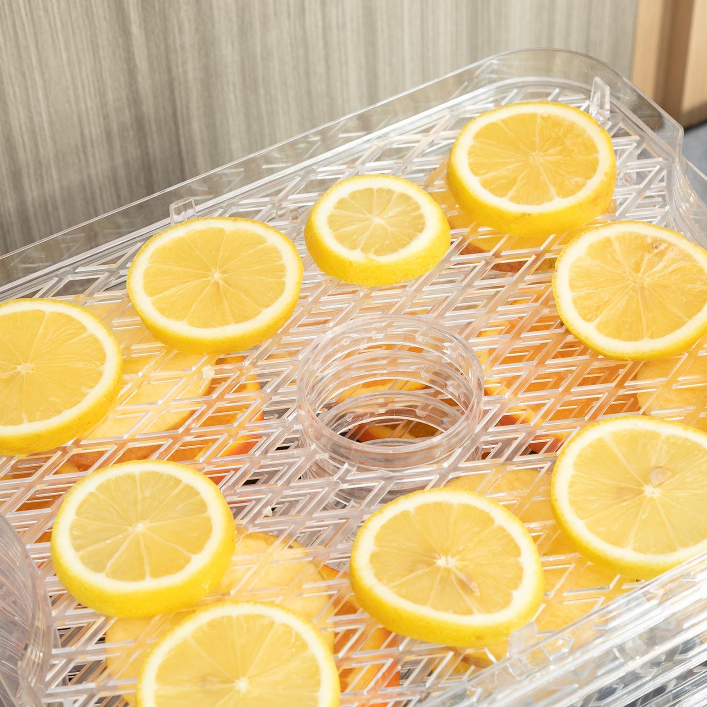 Dehydrator with timer & temperature control, 5 levels, stainless steel