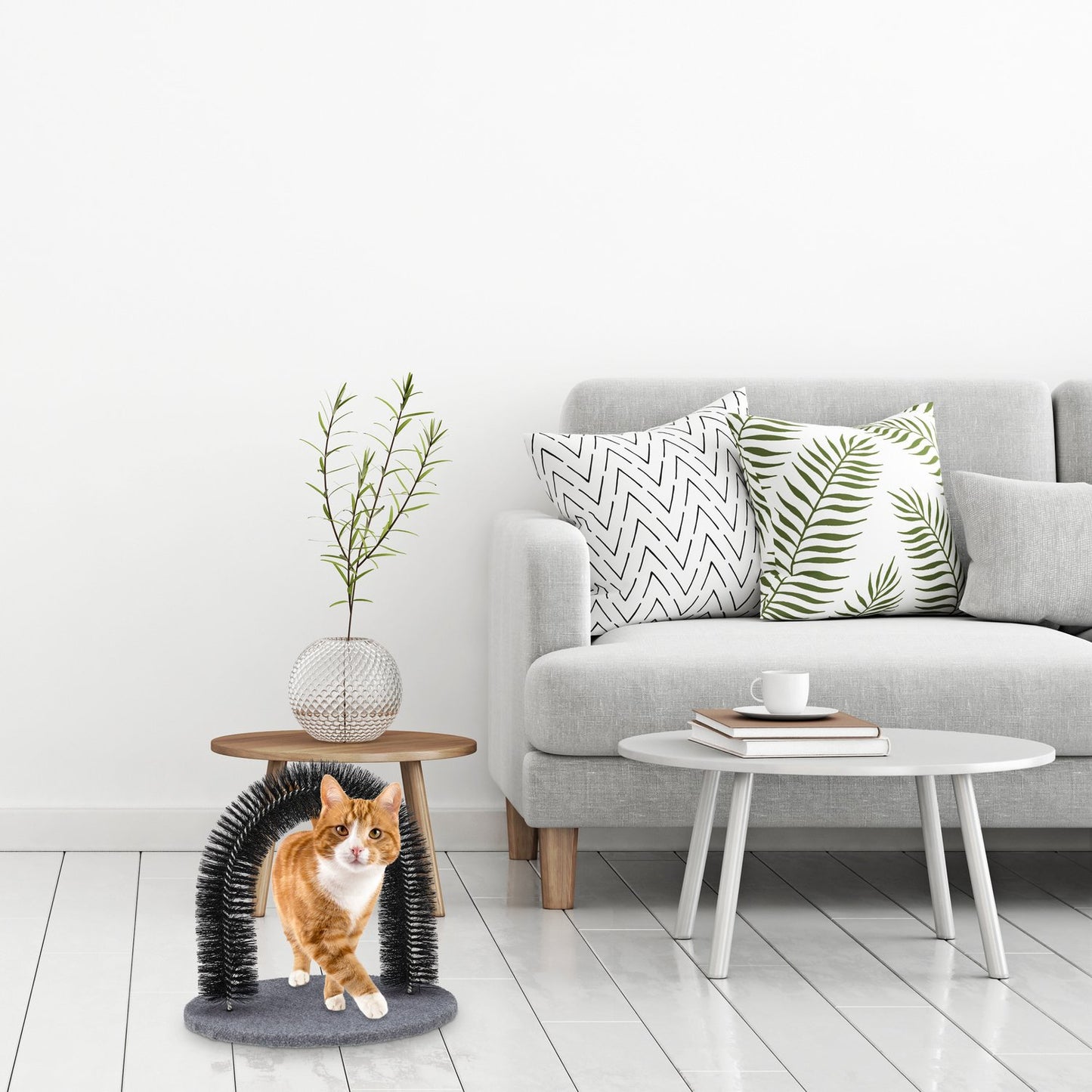 Depilatory blades for cats