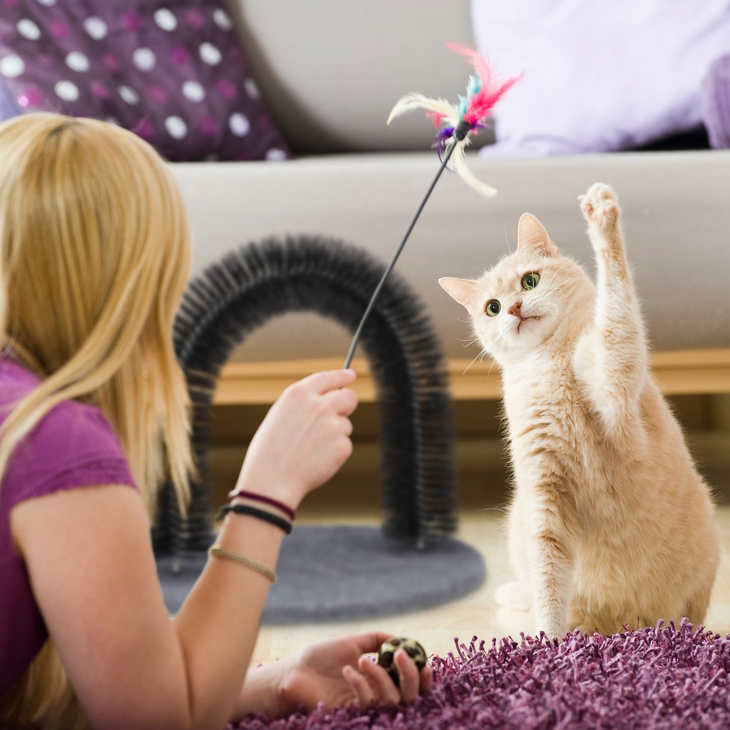 Depilatory blades for cats