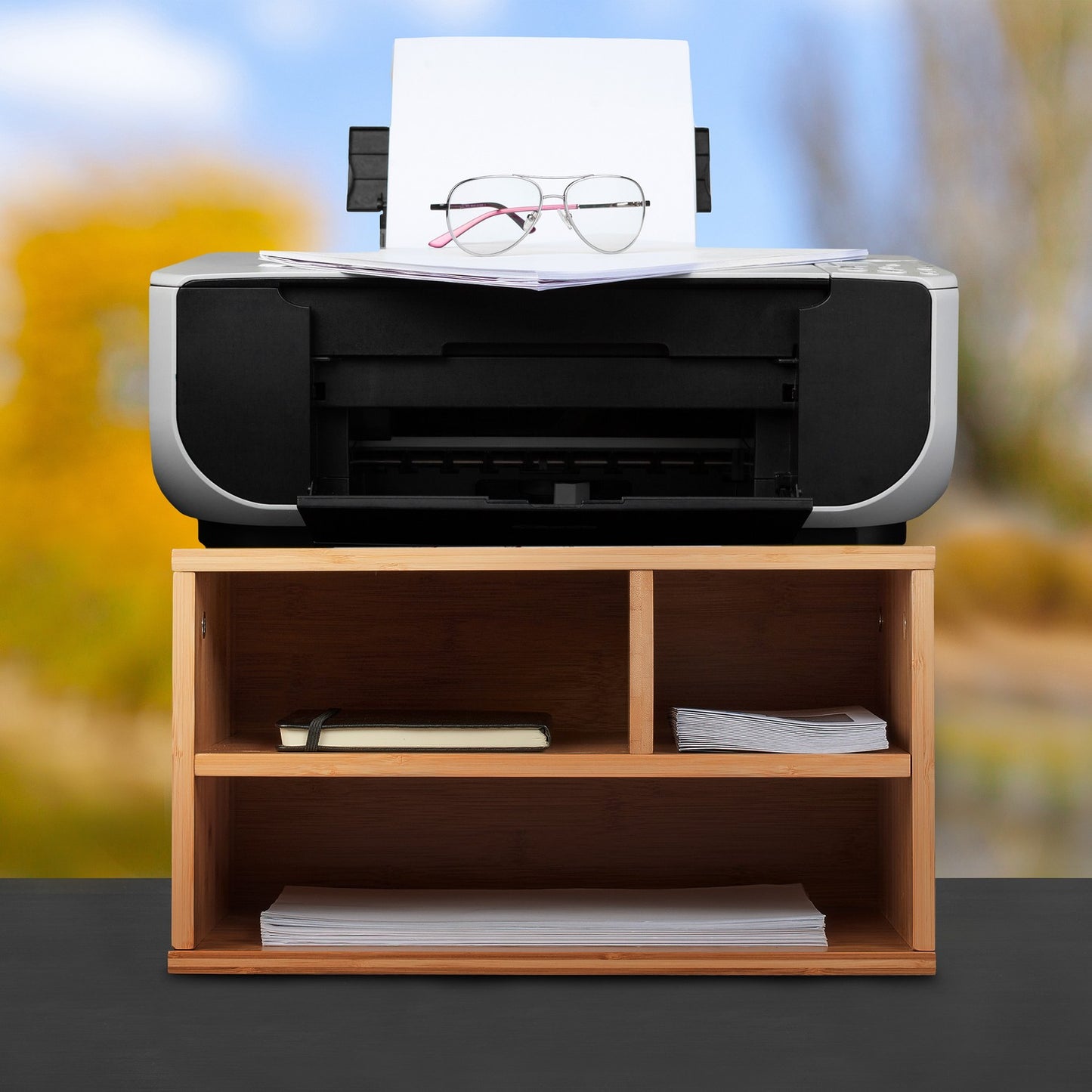 Desk in bamboo for printers