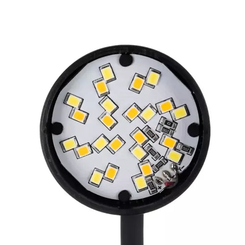 Desk lamp with a clip - black Izoxis 19454