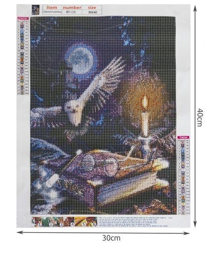 Diamond embroidery mosaic H16217