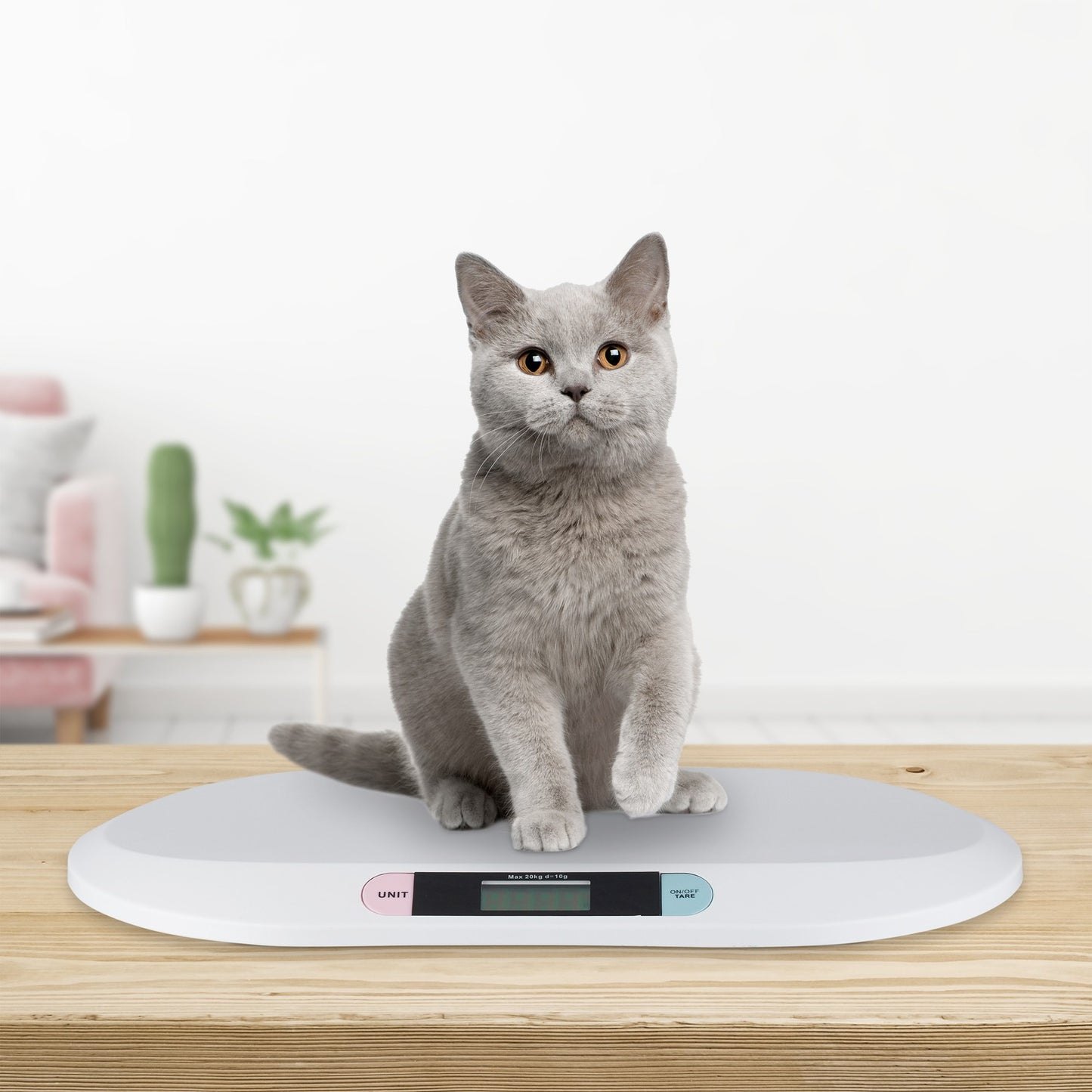 Digital baby scales