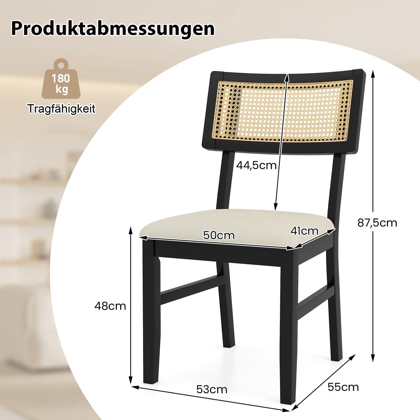 Dining Chairs Set of 2, Padded Seat, Rattan Back