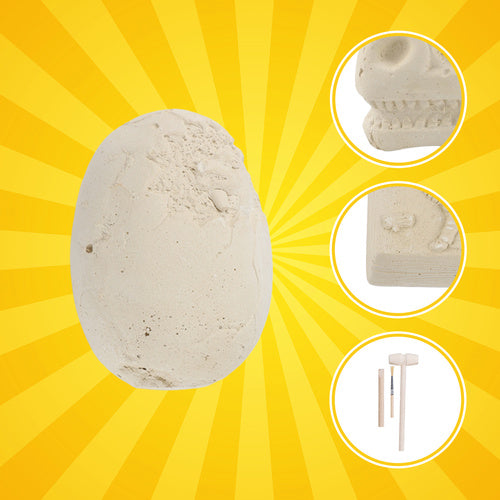 Dinosaur Excavation Kit for Kids – 5 Skeletons, Tools Included