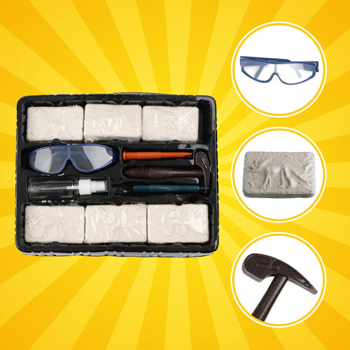 Dinosaur Excavation Kit for Kids – 6 Skeletons, Tools Included