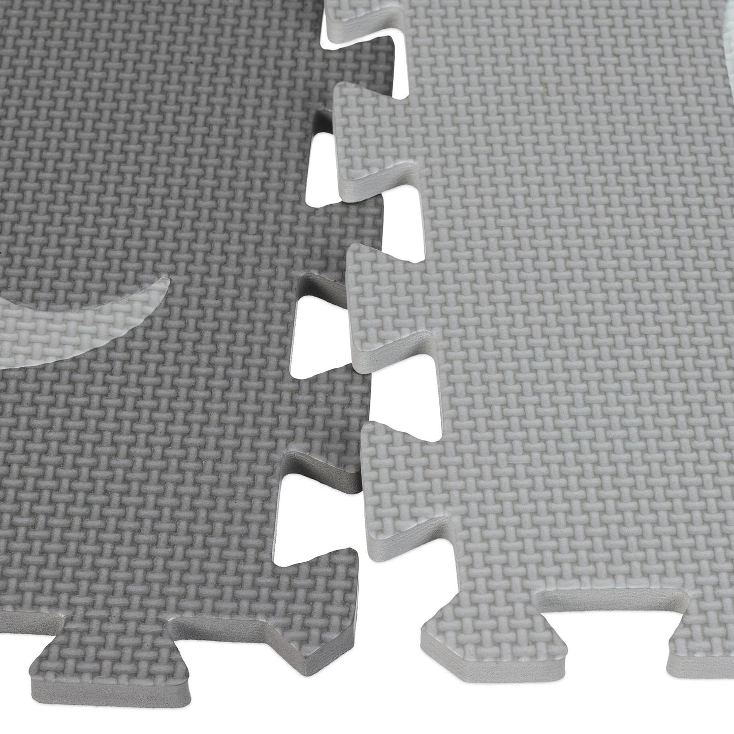 Dinosaur puzzle mat with border