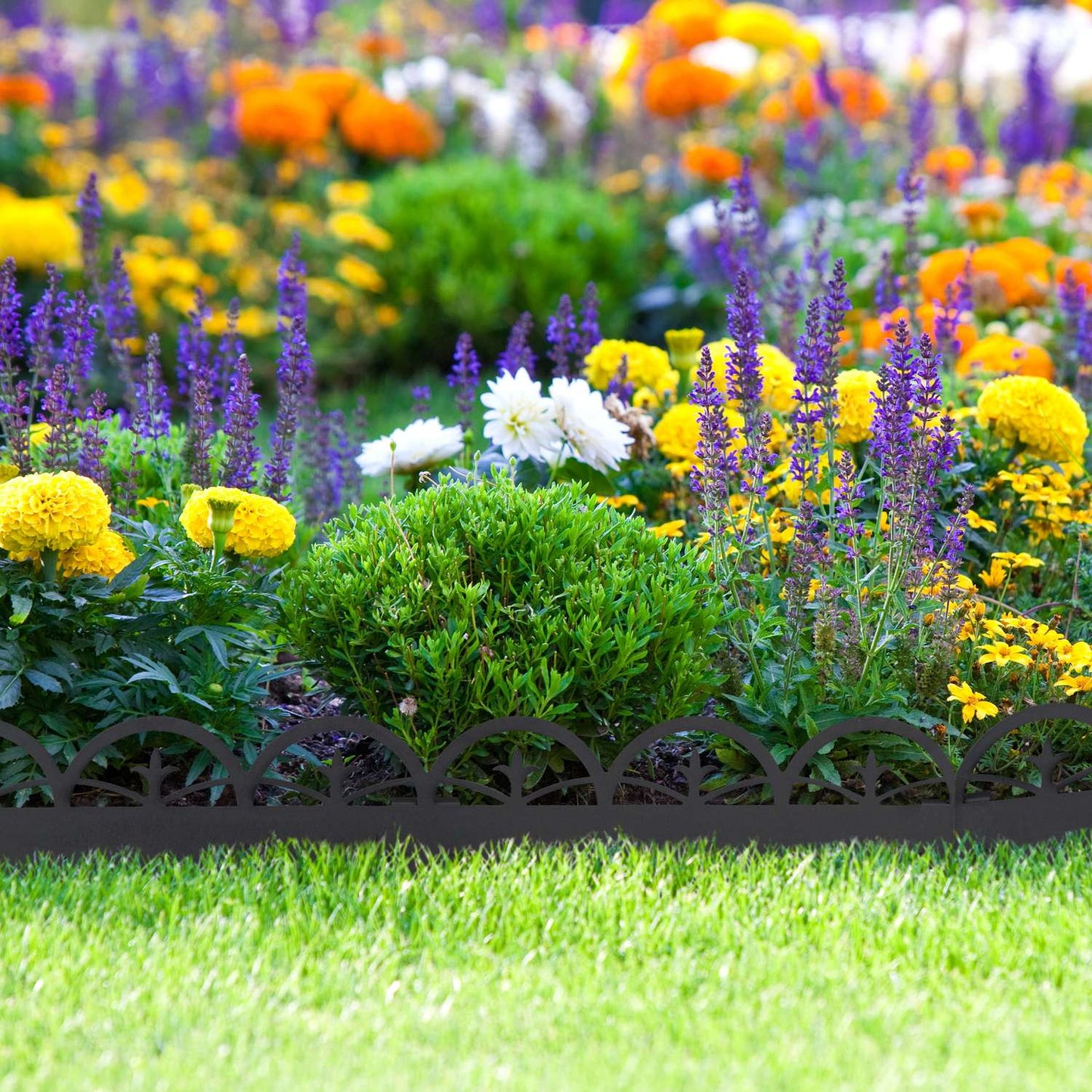 Discount edge black metal