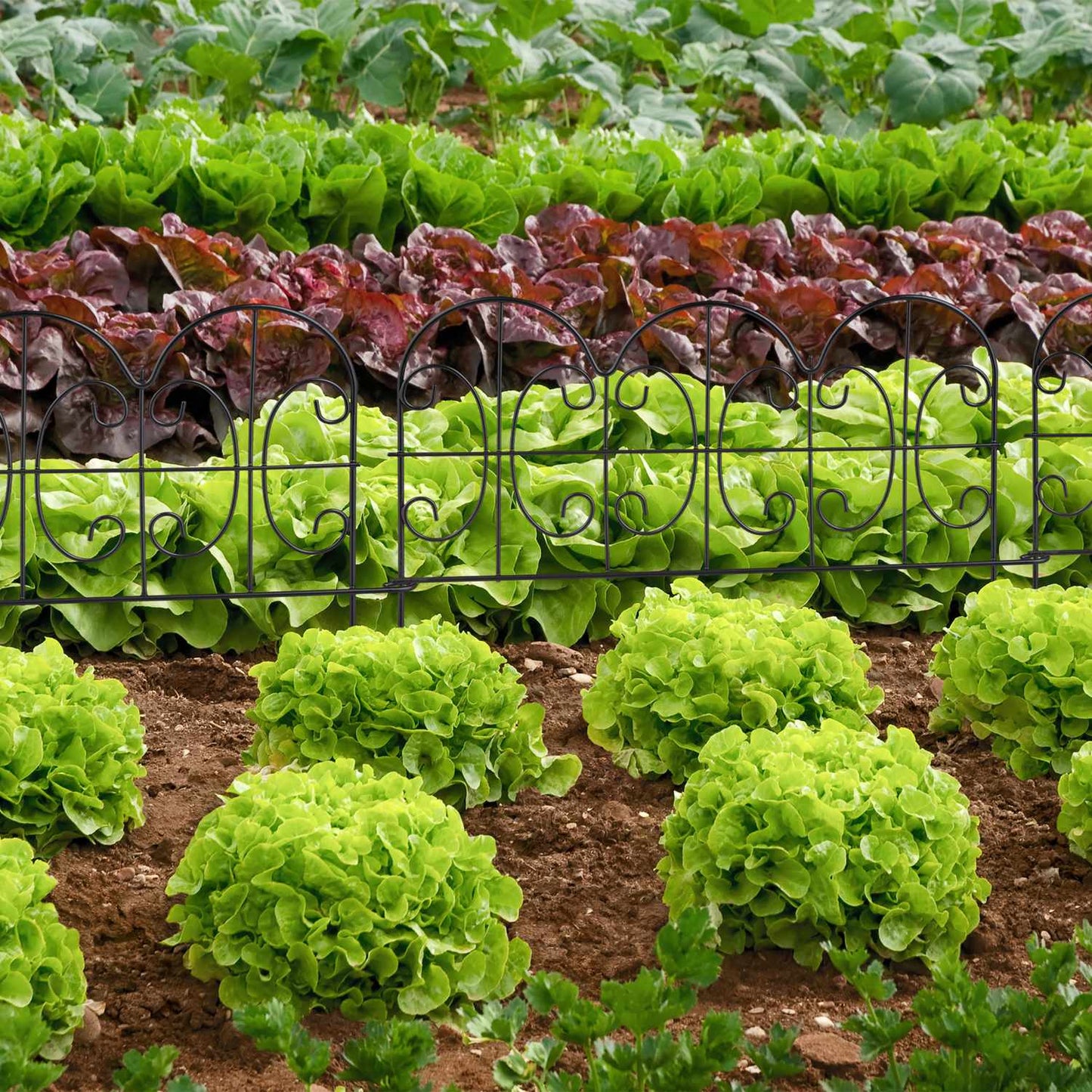 Discount fence 4 panels