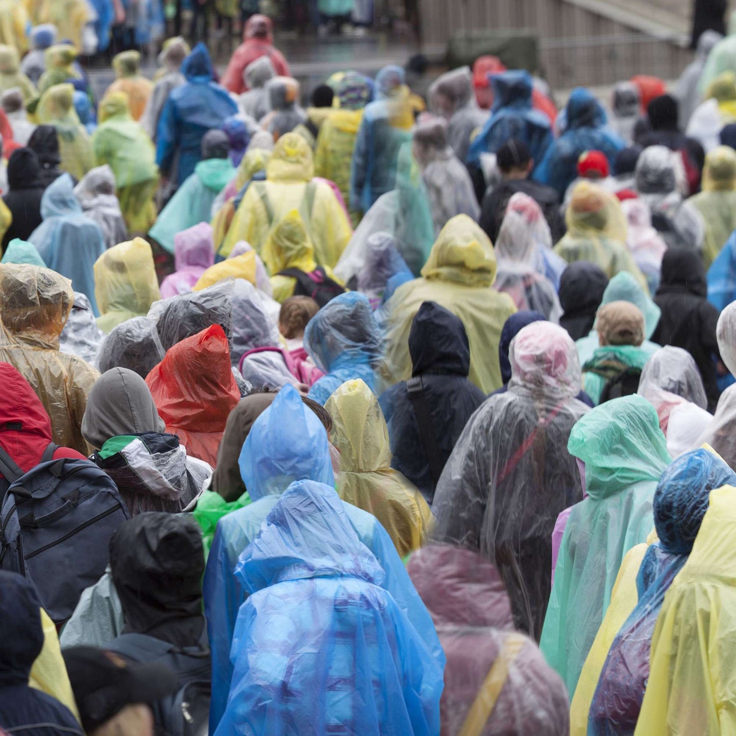 Disposable Poncho Set of 13