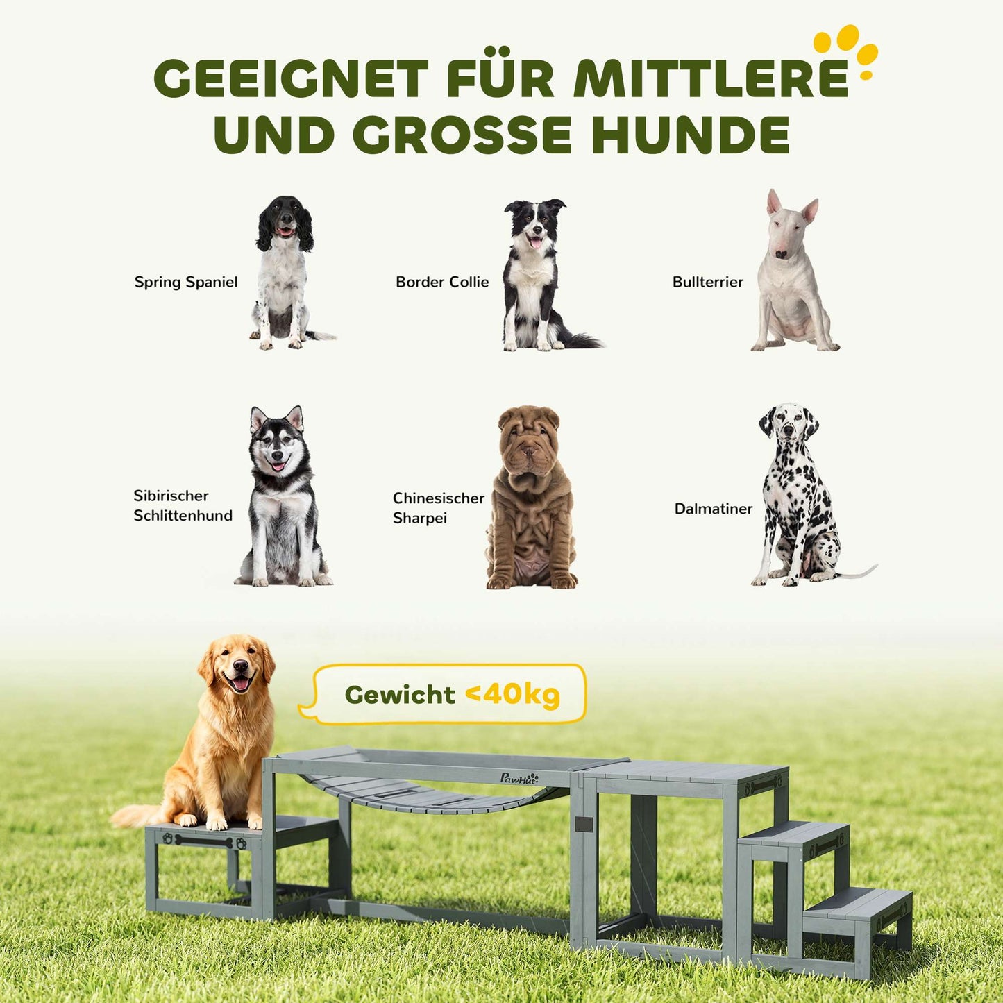 Dog Agility Set – 3-Piece Pine Wood, 40kg Capacity