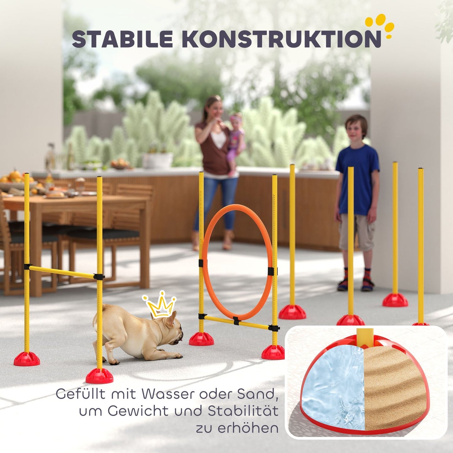 Dog Agility Training Set, 4-piece adjustable equipment