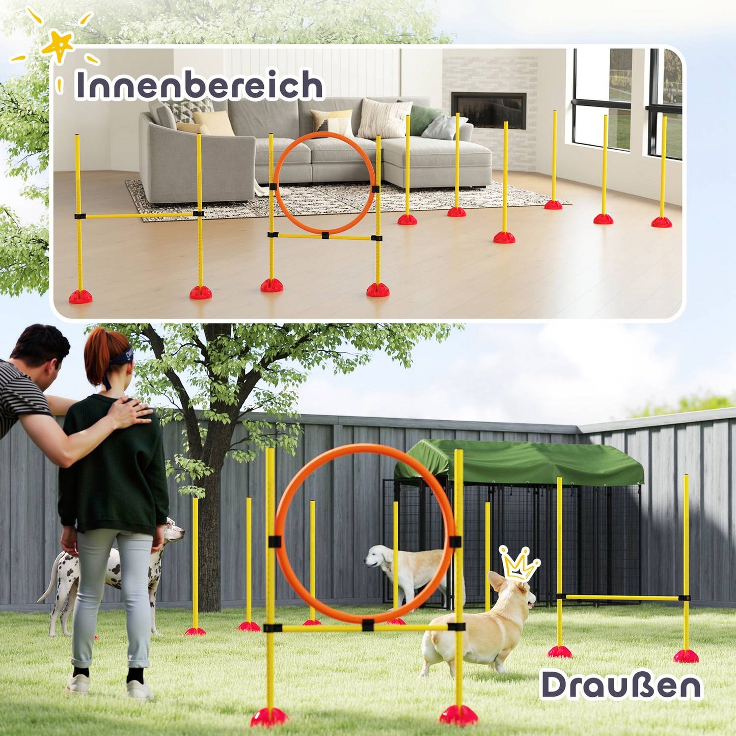 Dog Agility Training Set, 4-piece adjustable equipment