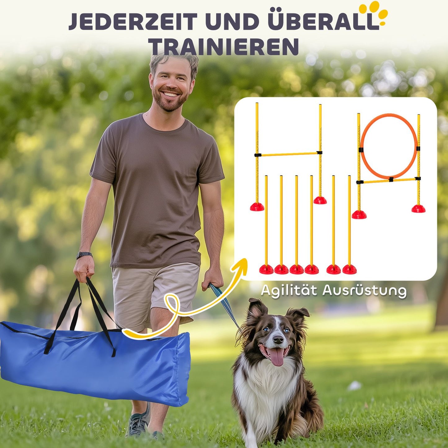 Dog Agility Training Set, 4-piece adjustable equipment
