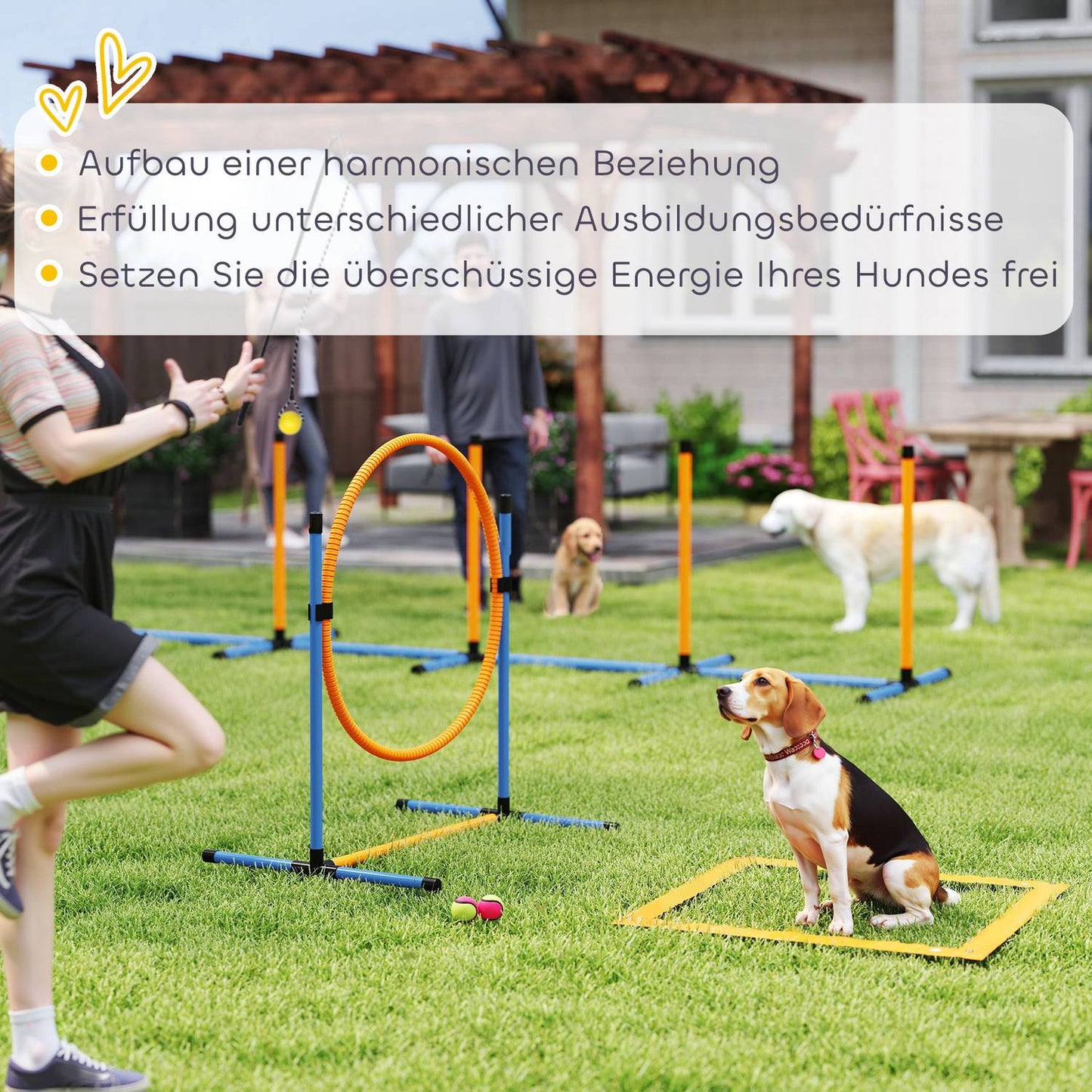 Dog Agility Set, adjustable hurdles & slalom poles, 9 parts