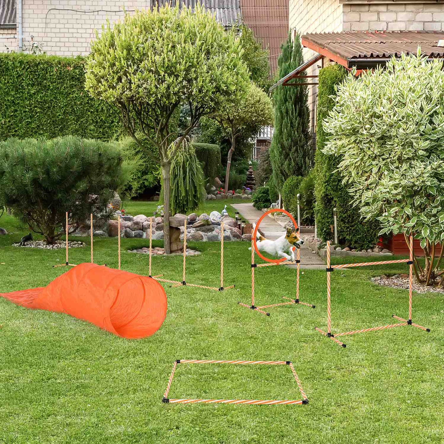 Dog Agility Training Set with Tunnel, Portable Orange/White